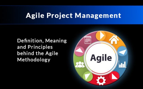 agile project management definition and guide
